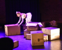 PAPER WORLD - PHOTO GALLERY FROM A BOX PERFORMANCE